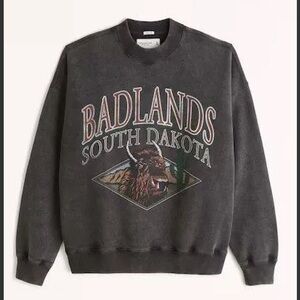 Abercrombie & Fitch Oversized Badlands South Dakota Crewneck